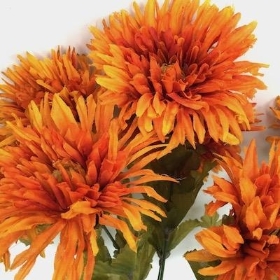 Orange Needle Mum Bush 42cm