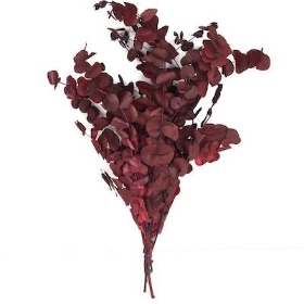 Dried Vintage Ruby Eucalyptus 60cm