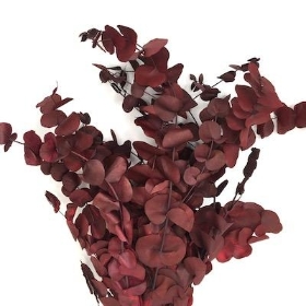 Dried Vintage Ruby Eucalyptus 60cm