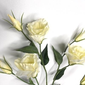 Ivory Lisianthus 72cm