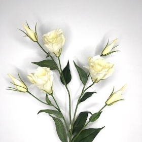 Ivory Lisianthus 72cm