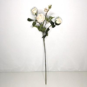 White Pink Cabbage Rose 59cm