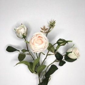 White Pink Cabbage Rose 59cm