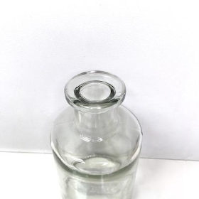 Clear Bottle Vase 16cm