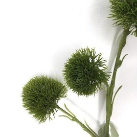 Green Dianthus Spray 62cm