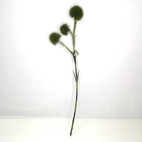 Green Dianthus Spray 62cm