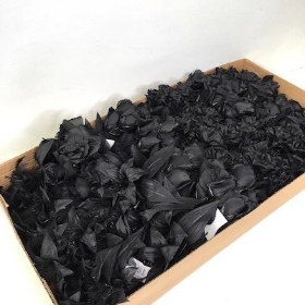 36 x Black Assorted Bush 36cm