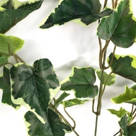 Variegated Ivy Spray 55cm