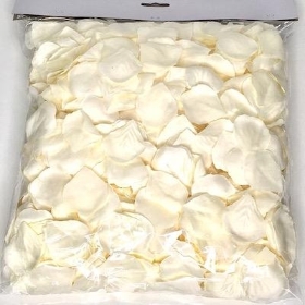 Cream Rose Petals x 1000