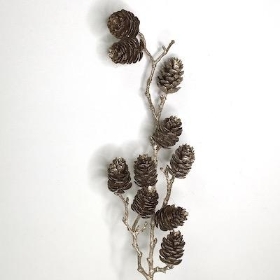 Champagne Glitter Pinecone Stem 73cm